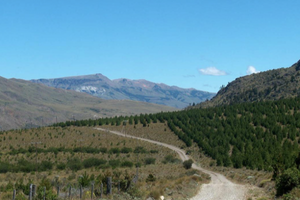 Venta Finca 15.000 Has. Provincia de Chubut - Patagonia Argentina - Camino dentro de la Finca - 5