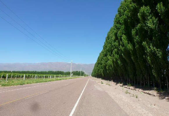 Venta de viñedo de 42 Has en Argentina Valle de Uco - 7 -Argentina - Por Rural Argentina, inmobiliaria especializada en venta de Fincas Rústicas en Argentina