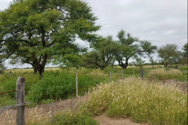 Rural Argentina Venta de campos