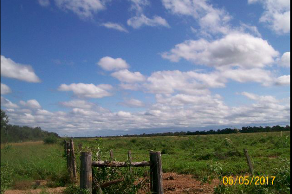 Rural Argentina inmobiliaria ganadera 115