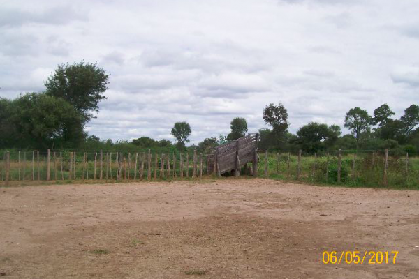 Rural Argentina inmobiliaria ganadera 198