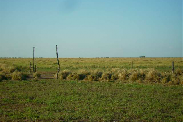 La Pampa - Vende Rural Argentina 10