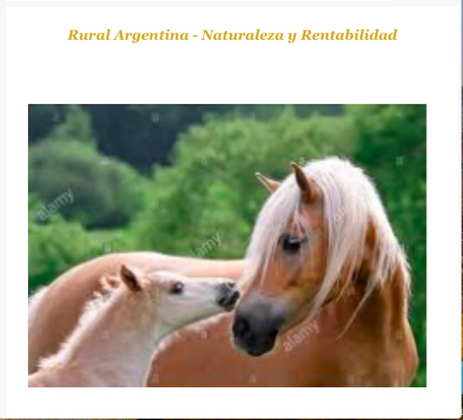 vende www.ruralargentina.com