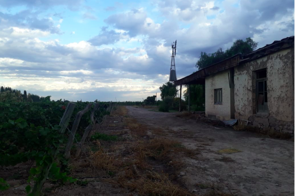 Rural Argentina Venta de Viñas en Argentina 7