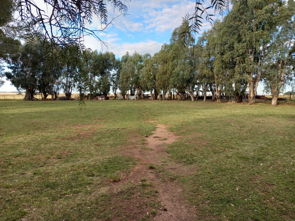 123 Rural Argentina