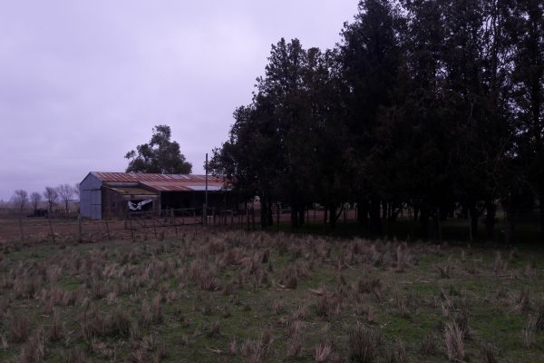 Rural Argentina Venta de Campos 6