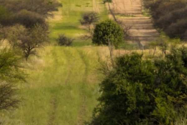 Venta de Coto de caza en La Pampa Argentina, 1.435 has.