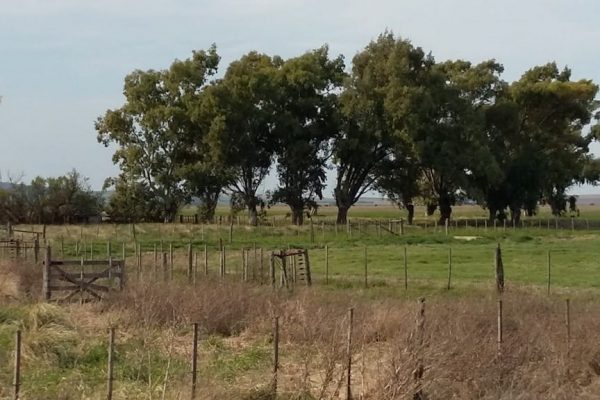 Finca agricola ganadera en Argentina vende Rural ARGENTINA.