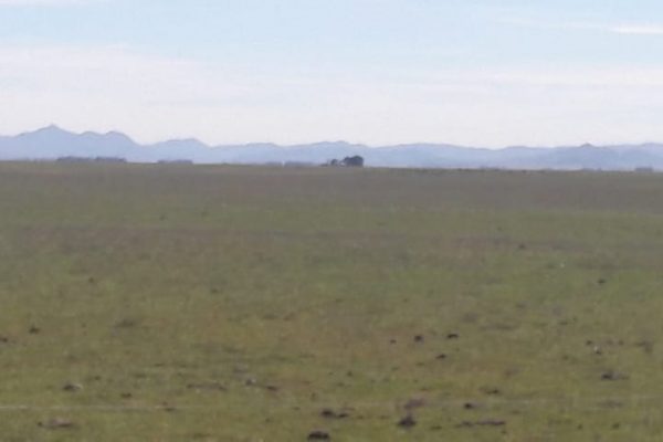 Rural-Argentina-VENDE.6