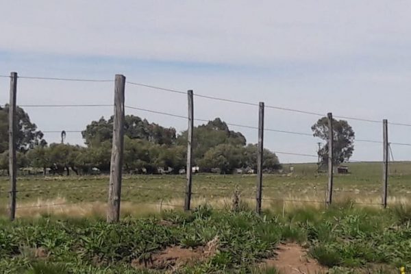 Rural Argentina VENDE. 8