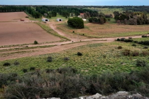 Venta Estancia en Puan - Vende Rural Argentina 10