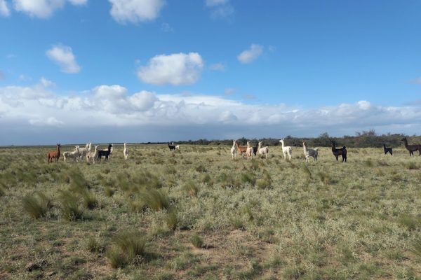 Venta de Finca Rural en Argentina - por Rural Argentina. 1