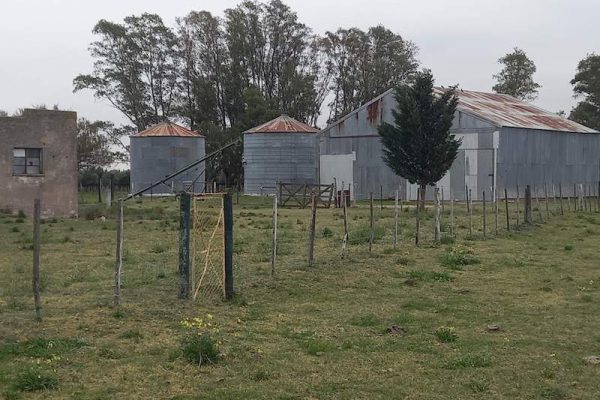 Finca agricola en Argentina con Olivar incluido - www.ruralargentina.com 3