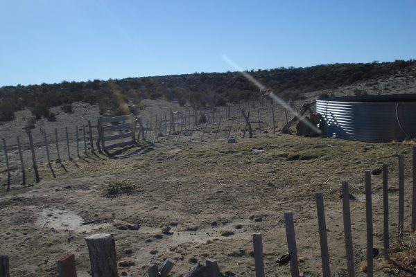 Finca en La Patagonia - Vende Rural Argentina