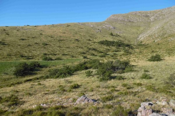 Finca en la zona Argentina de Sierra de la Ventana - 380 hectáreas