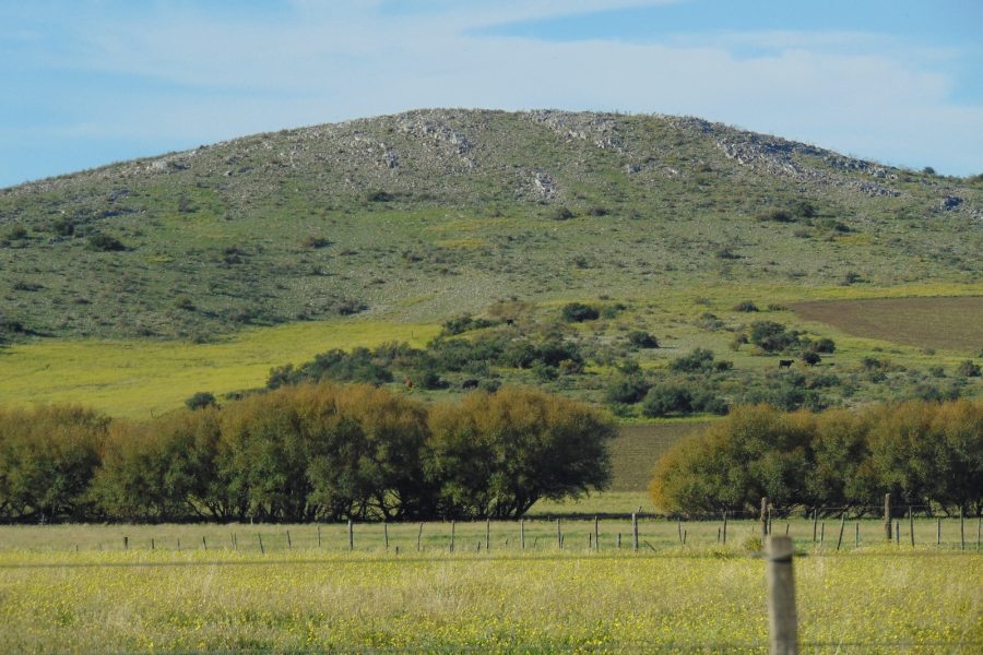 preciosa vista