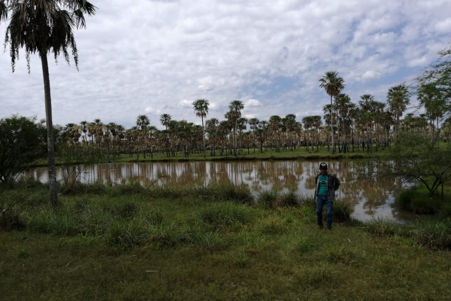 Hermosa imagen de finca Paraguaya en venta - by Rural Argentina Venta de Campos