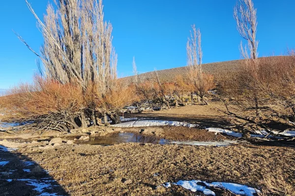Aguada natural entre árboles en el campo en venta en Chubut, Patagonia.