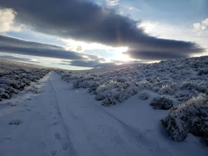 Camino de acceso cubierto de nieve en el campo en venta en Chubut, Patagonia.