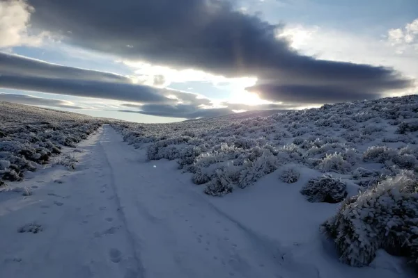 Camino de acceso cubierto de nieve en el campo en venta en Chubut, Patagonia.