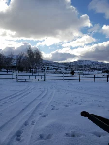 Paisaje de campo en Chubut cubierto de nieve, ideal para producción ganadera.