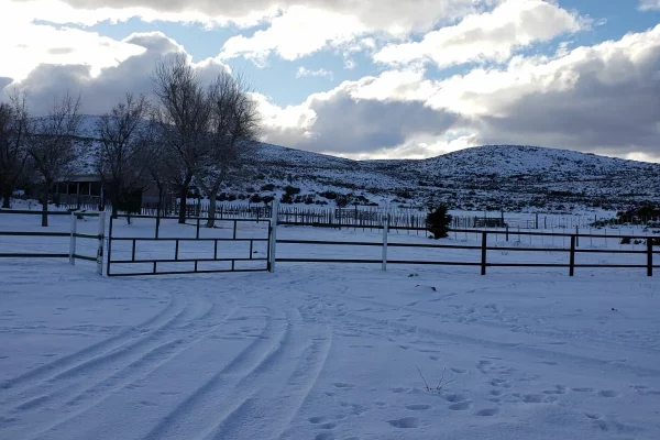 Paisaje de campo en Chubut cubierto de nieve, ideal para producción ganadera.