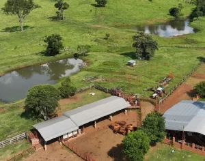 Infraestructura ganadera con corrales, techo de chapas y lagunas naturales en campo de Misiones