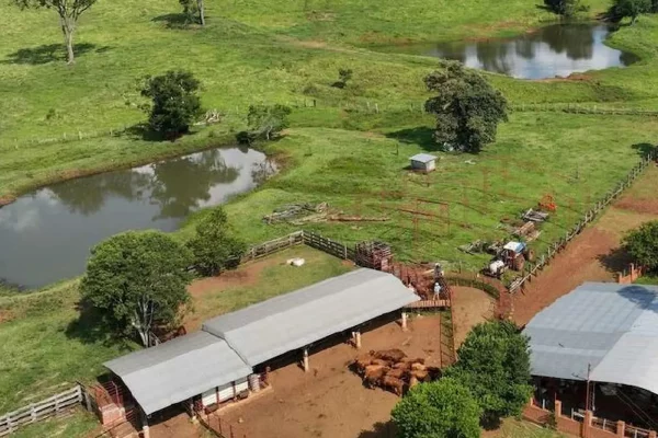 Infraestructura ganadera con corrales, techo de chapas y lagunas naturales en campo de Misiones