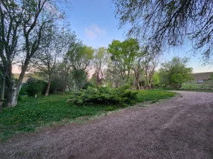 Parque arbolado dentro del campo en venta de 20.500 ha en Chubut, Patagonia.