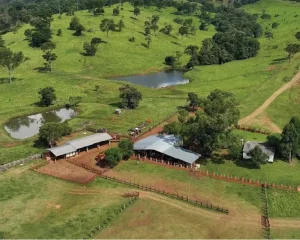 Infraestructura rural con galpones y lagunas en campo de Misiones visto desde el aire