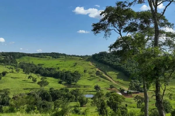 Campo ondulado con colinas verdes y árboles bajo un cielo despejado en Misiones, Argentina