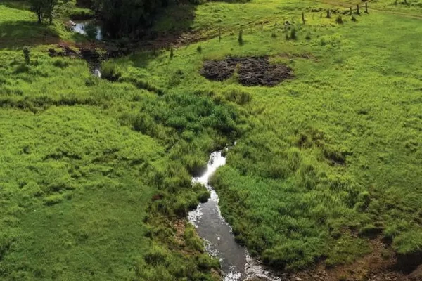 Arroyo cristalino rodeado de pastos verdes en campo de Misiones
