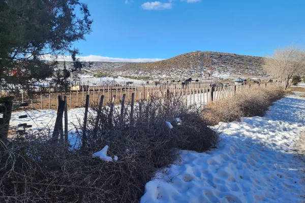 Corrales ganaderos en campo en venta en Chubut, Patagonia, con nieve – Rural Argentina Venta de Campos.