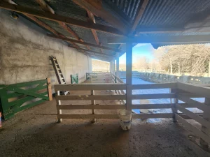 Galpón ganadero en campo en venta en Chubut, Patagonia – Rural Argentina Venta de Campos.