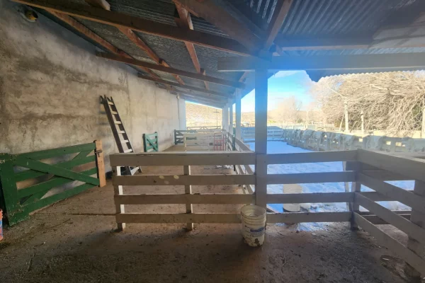 Galpón ganadero en campo en venta en Chubut, Patagonia – Rural Argentina Venta de Campos.