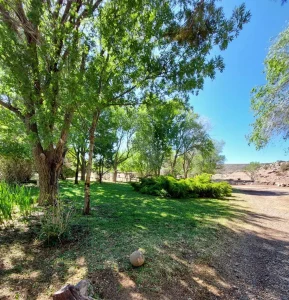 Parque arbolado en campo en venta en Chubut, Patagonia – Rural Argentina Venta de Campos.