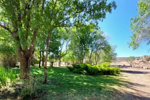 Parque arbolado en campo en venta en Chubut, Patagonia – Rural Argentina Venta de Campos.