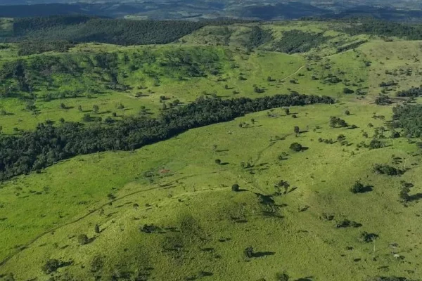 Panorámica aérea de campo productivo con ondulaciones y vegetación nativa en Misiones