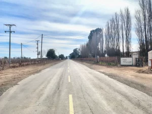 camino asfaltado hacia la finca vitivinícola en Lavalle Mendoza