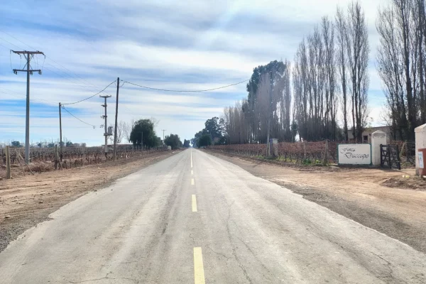 camino asfaltado hacia la finca vitivinícola en Lavalle Mendoza