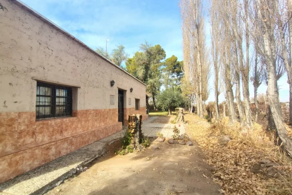 vivienda principal rodeada de álamos en finca vitivinícola de Lavalle Mendoza