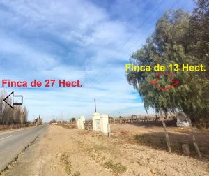 vista del camino entre las fincas de 13 y 27 hectáreas en Lavalle Mendoza