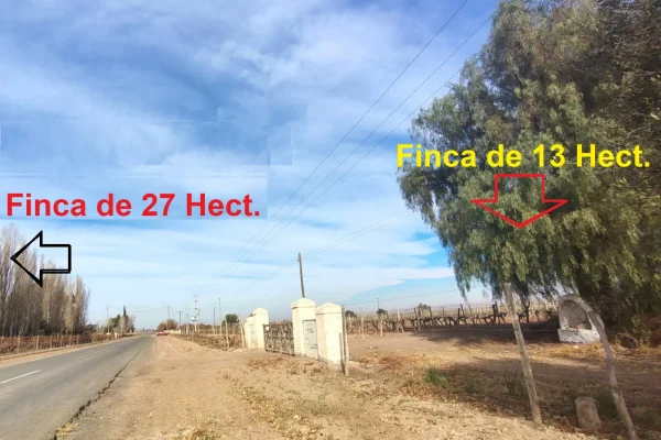 vista del camino entre las fincas de 13 y 27 hectáreas en Lavalle Mendoza