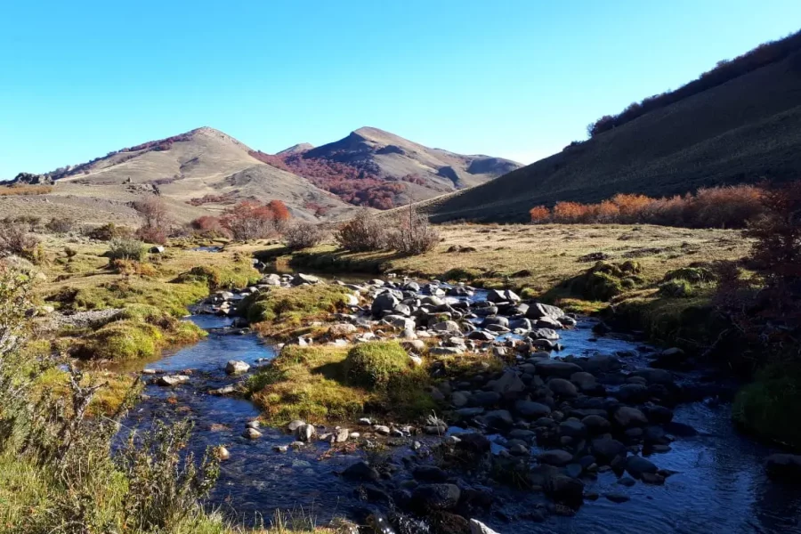 Arroyo de montaña en finca en venta en Patagonia, Esquel. 
