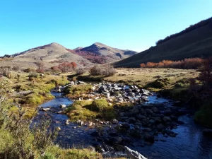 Arroyo de montaña en finca en venta en Patagonia, Esquel. 