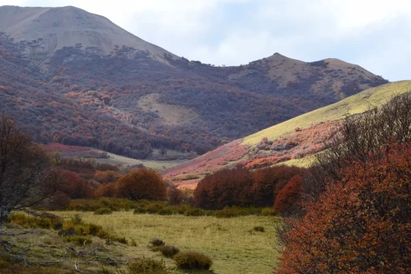 Campo en venta en Esquel con montañas y vegetación patagónica. 