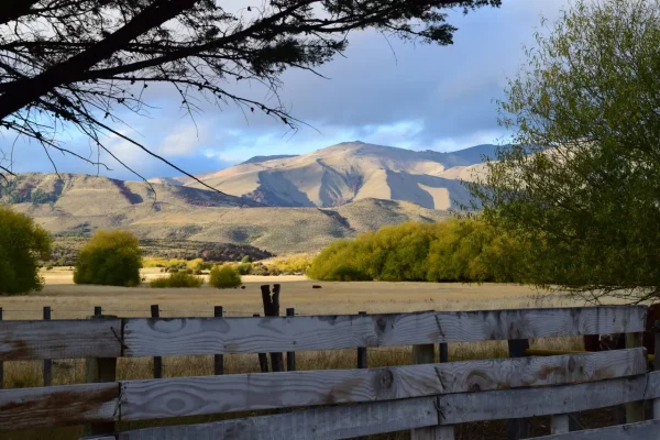 Valle patagónico de la finca en venta en Esquel, rodeado de álamos. 