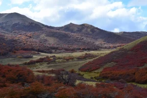 Colores otoñales en finca en venta en Patagonia, Esquel. 