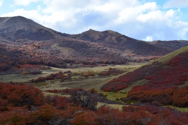 Colores otoñales en finca en venta en Patagonia, Esquel. 