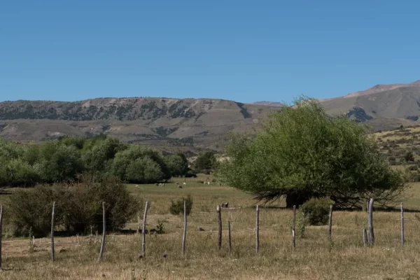 Campo con arboleda en venta en Esquel, Patagonia. 